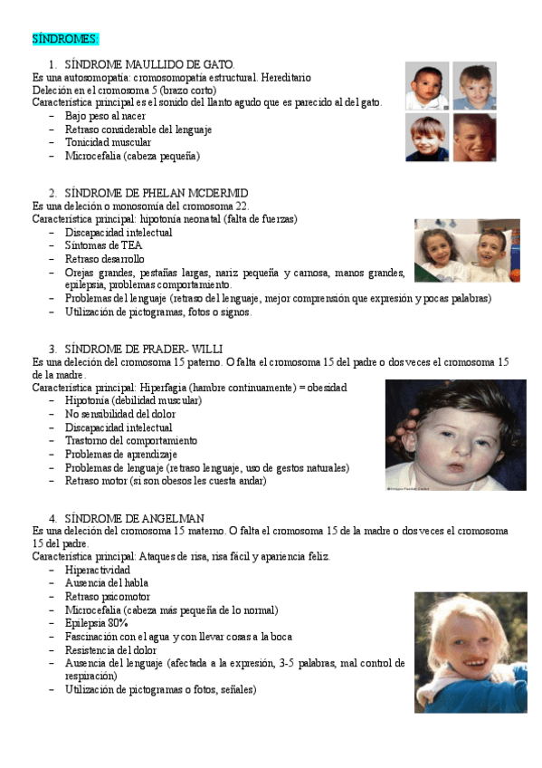 Miniatura del documento sindromes-atencion-temprana.pdf