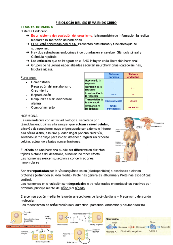 Miniatura del documento FISIOLOGIA-2o-CUATRI.pdf