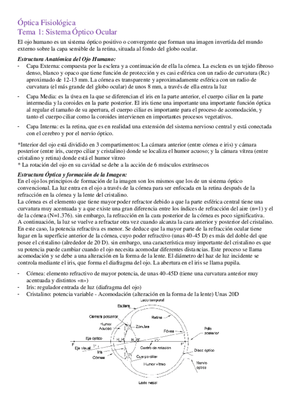Miniatura del documento Temario-Optica-Fisiologica.pdf