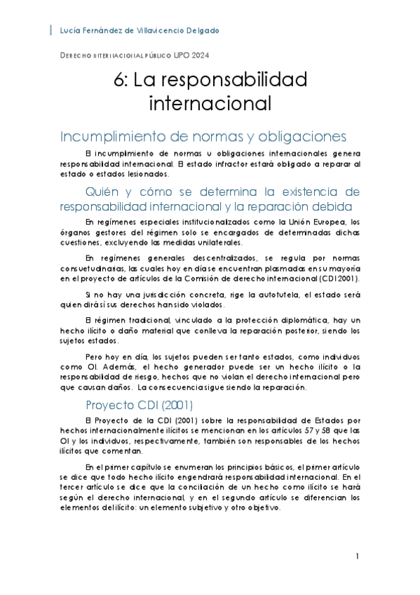 Miniatura del documento TEMA-VI-La-responsabilidad-internacional.pdf
