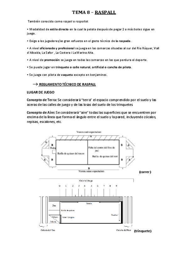 Miniatura del documento T8-RASPALL.pdf