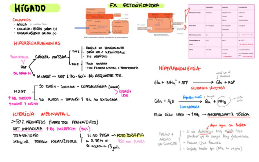 Miniatura del documento Resumen-BQ-clinica.pdf