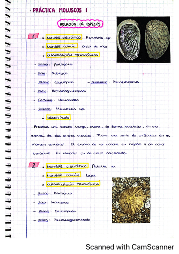 Miniatura del documento Cuaderno-Zoo-2-cuatri.pdf