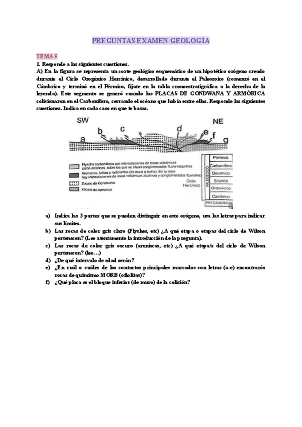 Miniatura del documento EXAMEN-TEMAS-5-6-Y-7-GEOLOGIA.pdf