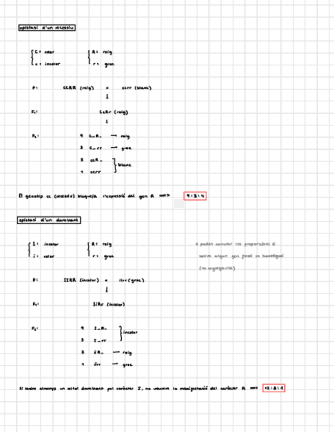 Miniatura del documento tipus-epistasi.pdf