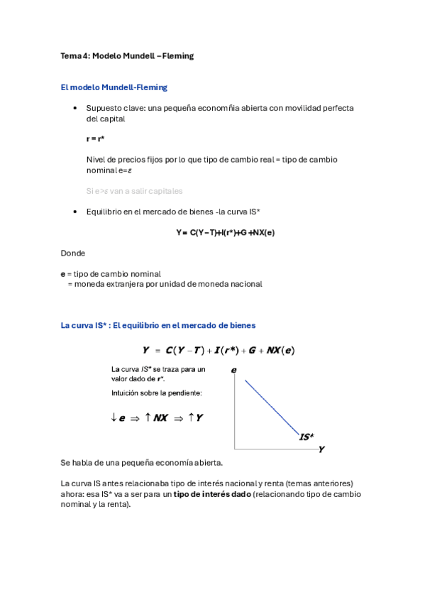 Miniatura del documento Tema-4-Macro-Abierta.pdf