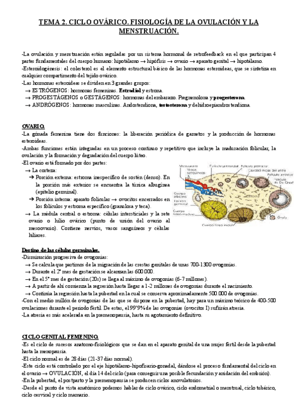 Miniatura del documento TEMA-2.-CICLO-OVARICO.-FISIOLOGIA-DE-LA-OVULACION-Y-LA-MENSTRUACION..pdf