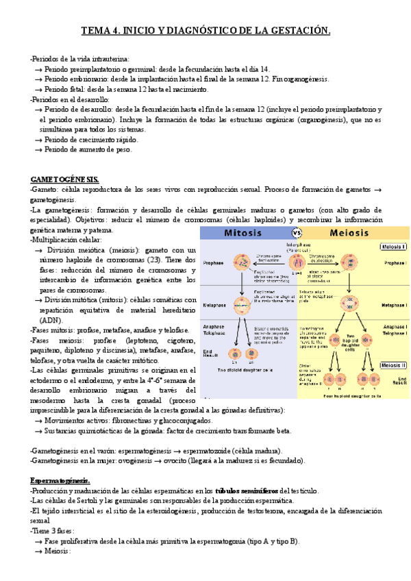 Miniatura del documento TEMA-4.-INICIO-Y-DIAGNOSTICO-DE-LA-GESTACION..pdf