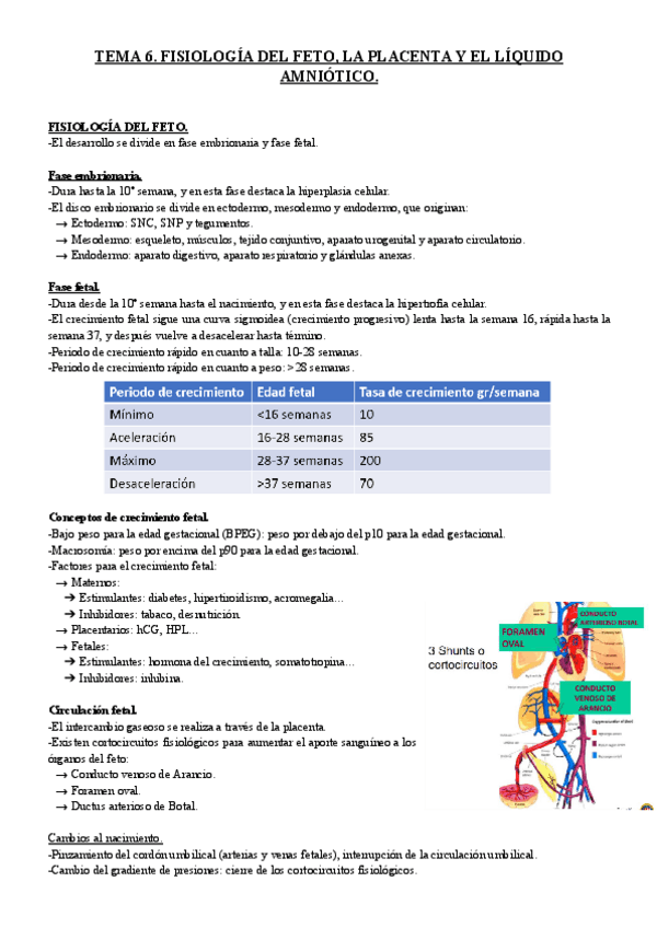 Miniatura del documento TEMA-6.-FISIOLOGIA-DEL-FETO-LA-PLACENTA-Y-EL-LIQUIDO-AMNIOTICO..pdf