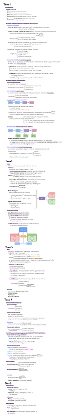 Miniatura del documento esquema-temario-completo.pdf