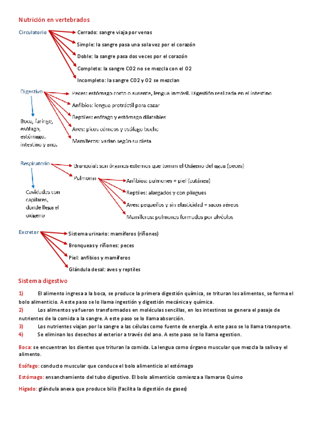 Miniatura del documento Sistema-digestivo-y-respiratorio.pdf