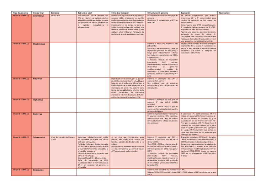 Miniatura del documento Tabla-resumen-Tipos-de-Virus.pdf