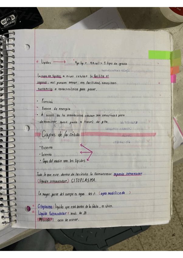 Miniatura del documento Lipidos.pdf