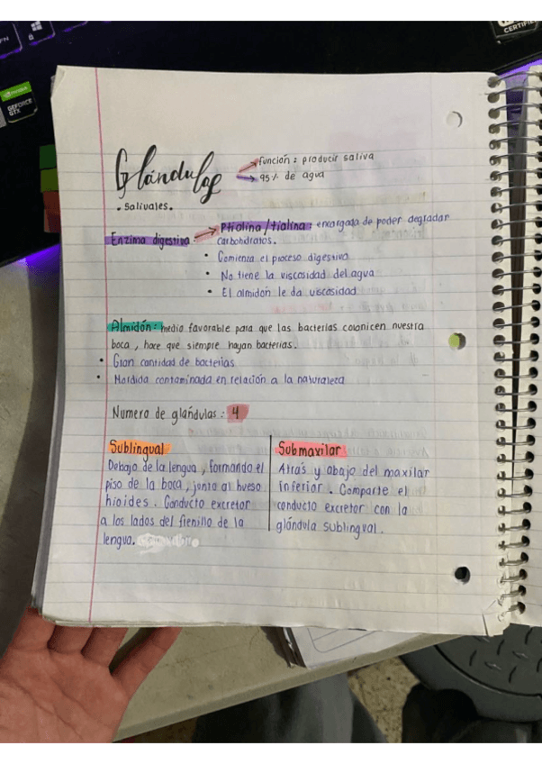 Miniatura del documento Glandulas-Salivales.pdf