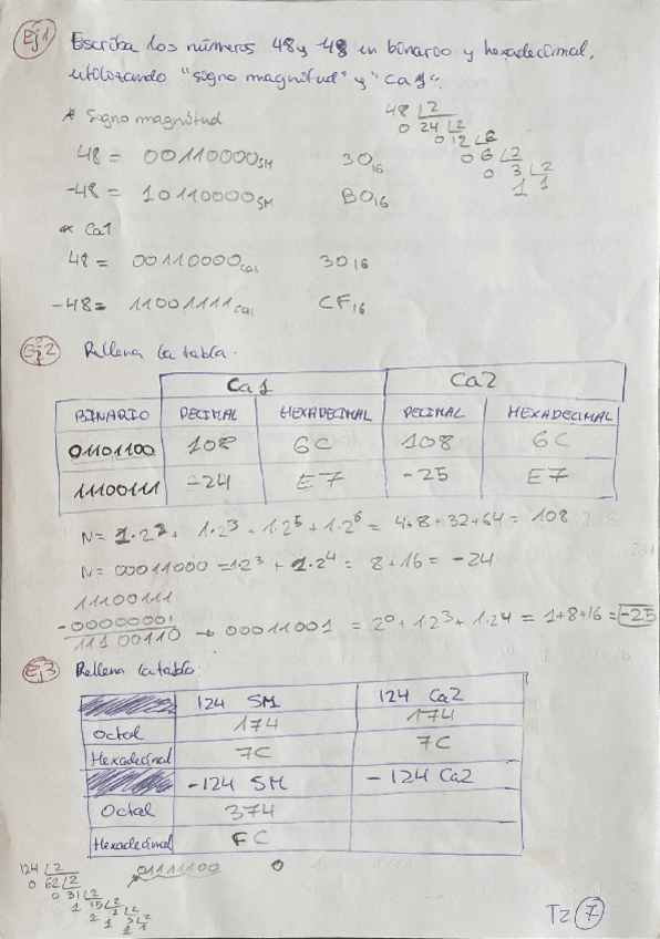 Miniatura del documento Ejercicios-y-examenes-codificacion.pdf