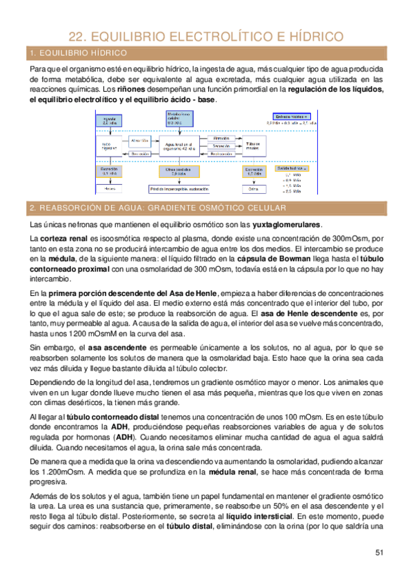 Miniatura del documento Tema-22-fisiologia-humana.pdf