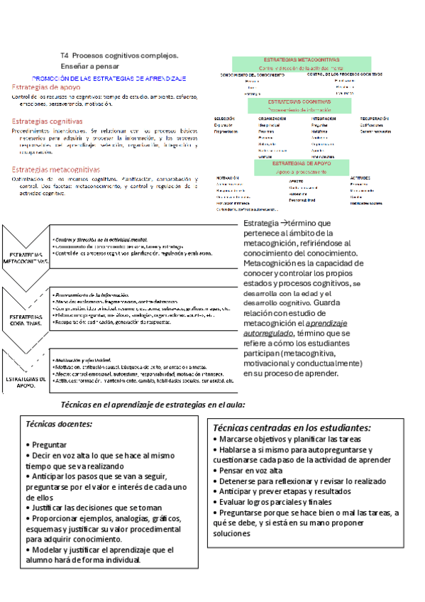 Miniatura del documento T4-Procesos-cognitivos-complejos.pdf