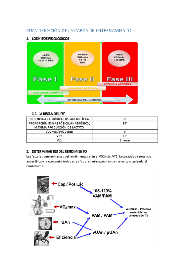 Miniatura del documento CUANTIFICACION-DE-LA-CARGA.pdf