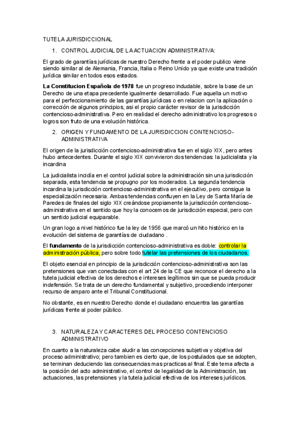 Miniatura del documento TUTELA-JURISDICCIONAL-administrativo.pdf