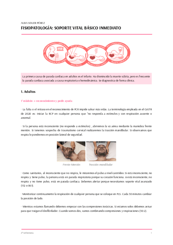 Miniatura del documento SOPORTE-VITAL-BASICO.pdf