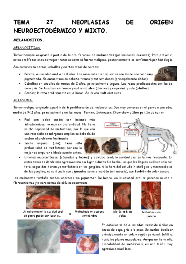Miniatura del documento Tema-27-APG.pdf