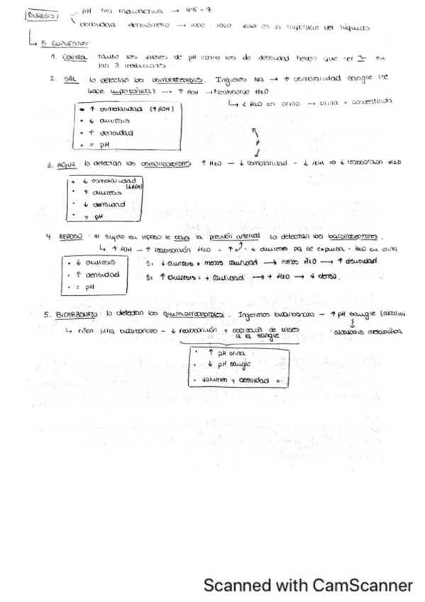 Miniatura del documento practicas-fisio-2-cuatri.pdf