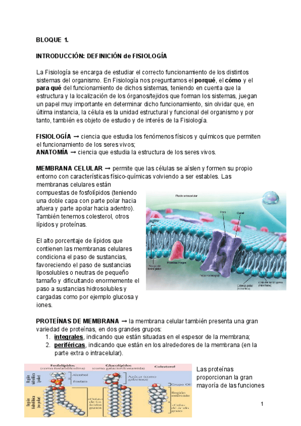 Miniatura del documento Fisiologia-Humana.pdf