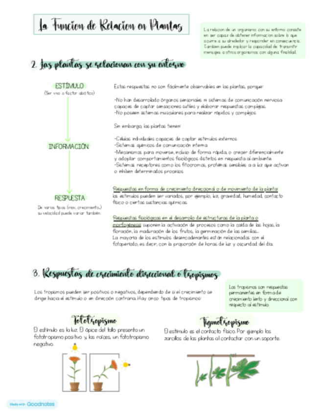 Miniatura del documento La-funcion-de-relacion-en-las-plantas.pdf