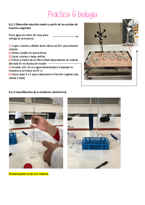 Miniatura del documento Practica-6-biologia.pdf