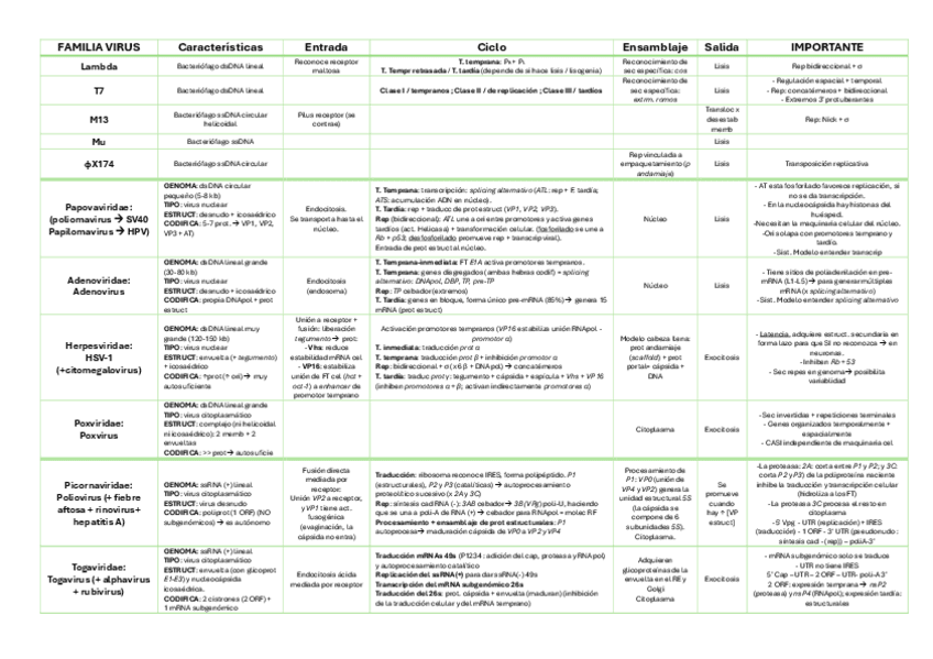 Miniatura del documento FAMILIA-VIRUS-TABLA.pdf