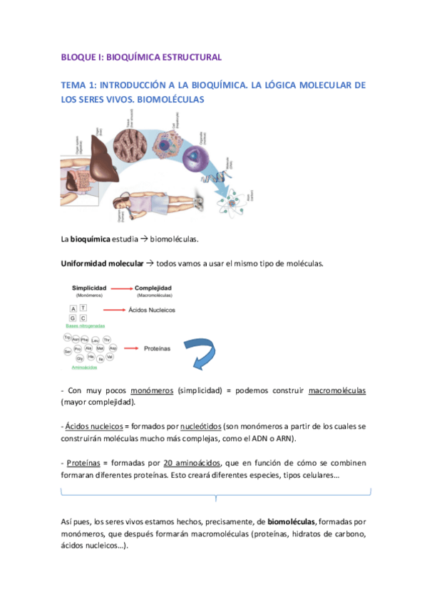 Miniatura del documento BLOQUE-1.pdf