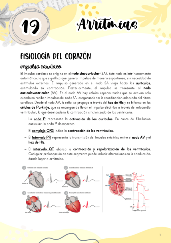 Miniatura del documento Tema-19.-Arritmias.pdf