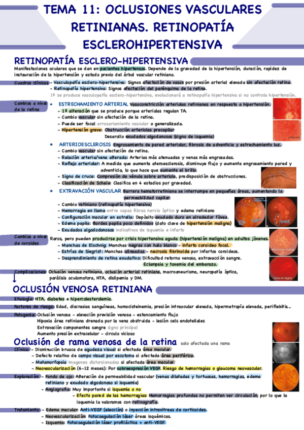 Miniatura del documento Tema-11.pdf