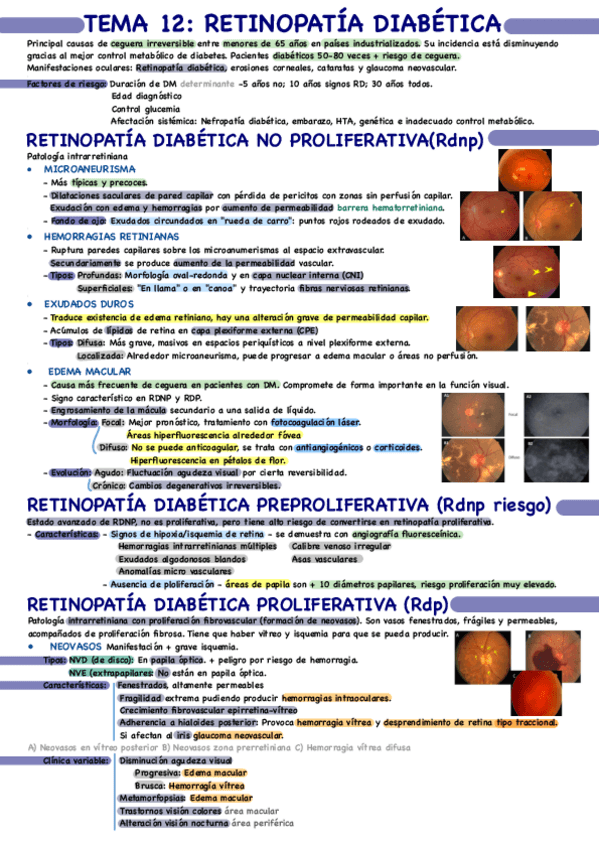 Miniatura del documento Tema-12.pdf