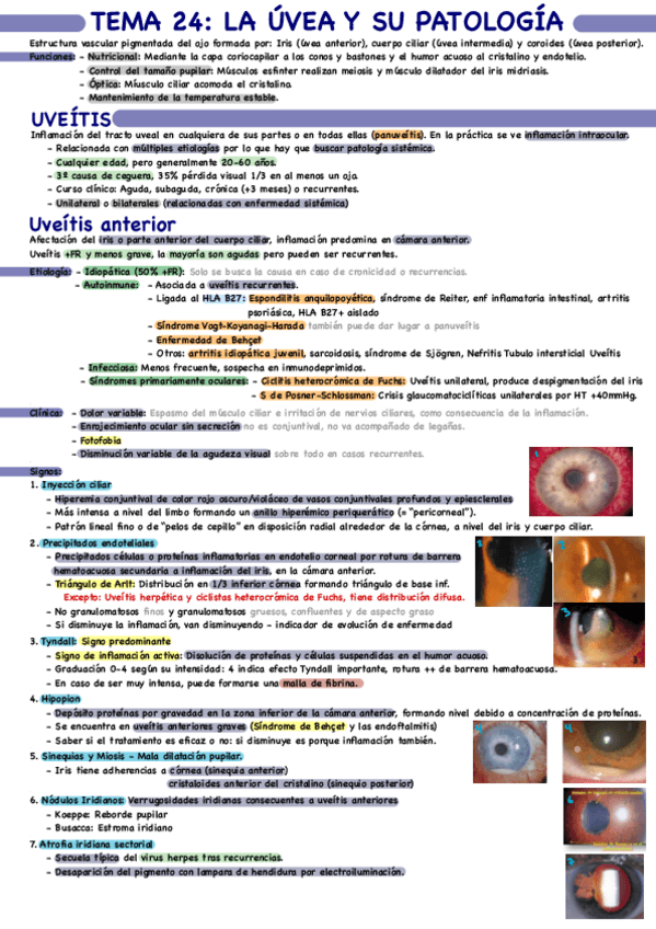 Miniatura del documento Tema-24.pdf