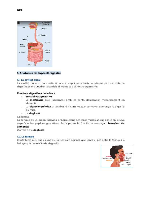 Miniatura del documento NF3-aparell-digestiu-1.pdf
