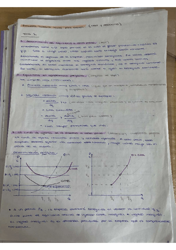 Miniatura del documento TEMARIO-MICRO-TEORIA-EXAMEN.pdf