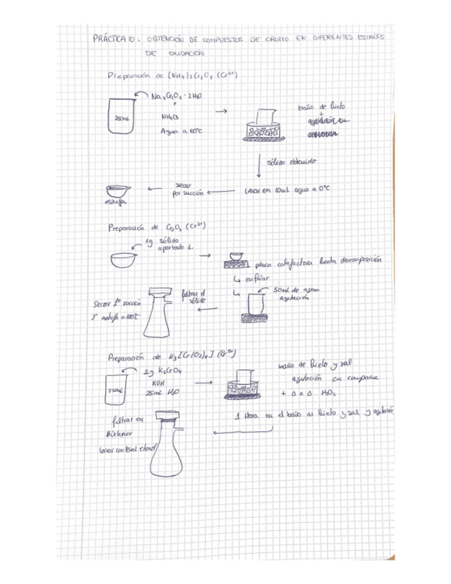Miniatura del documento Practica-10.pdf