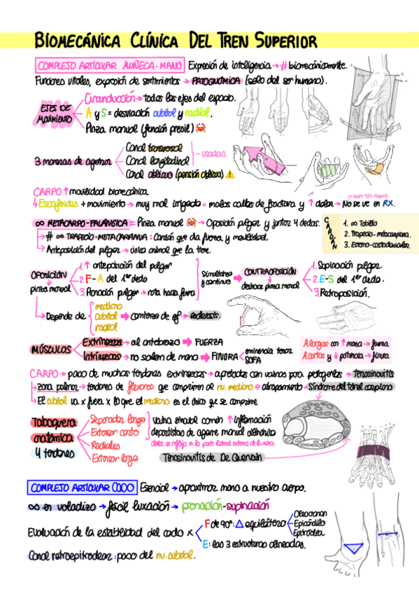 Miniatura del documento T3.-Biomecanica-clinica-del-tren-superior.pdf