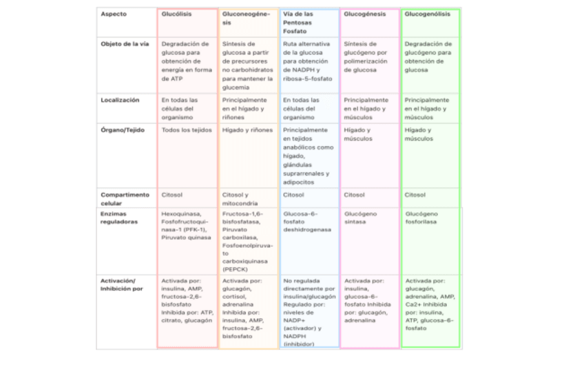 Miniatura del documento Bloque-glucidos-tabla.pdf