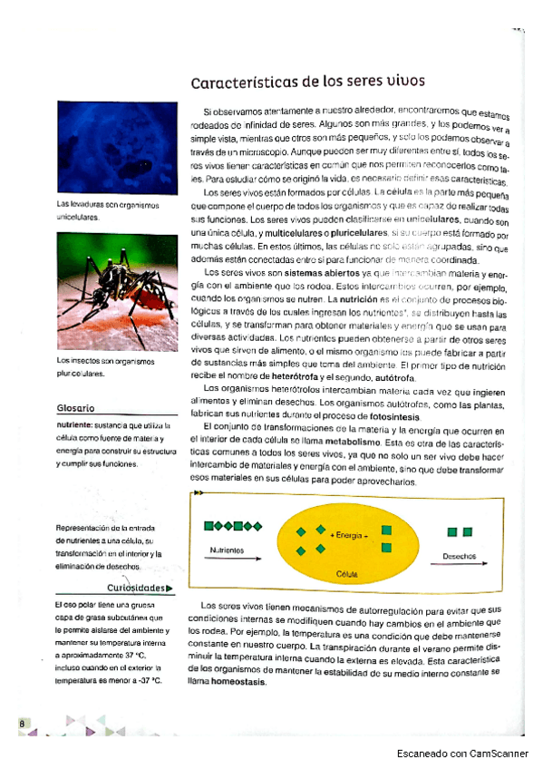 Miniatura del documento Caracteristicas-de-los-seres-vivos.pdf
