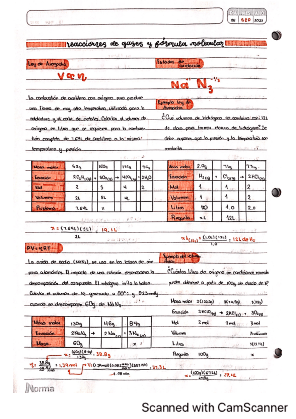 Miniatura del documento Reacciones-de-gases-y-formula-molecular.pdf