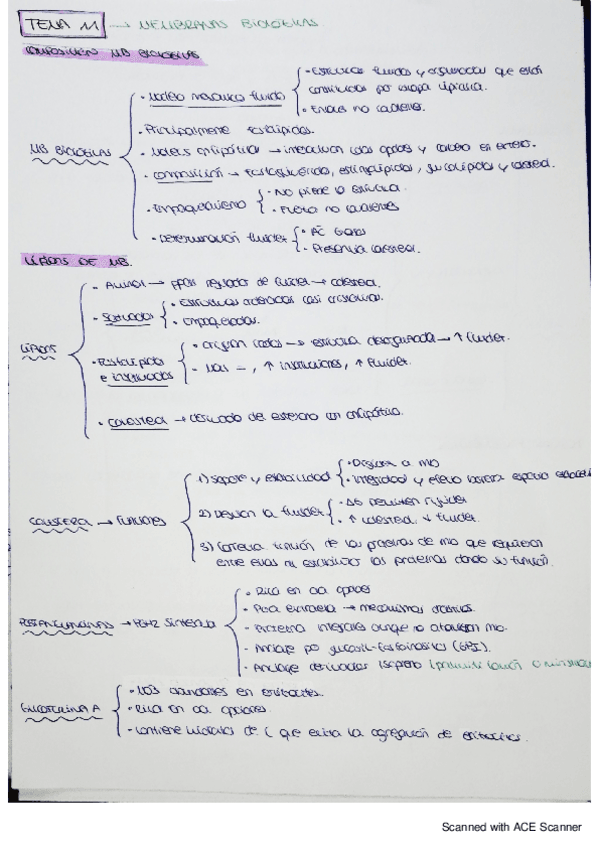 Miniatura del documento bqe-tema-11.pdf