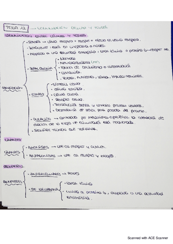 Miniatura del documento bqe-tema-12.pdf