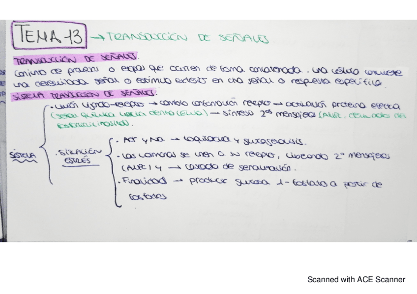 Miniatura del documento bqe-tema-13.pdf