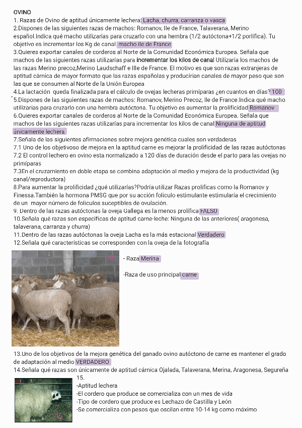 Miniatura del documento Test-PEP2.pdf