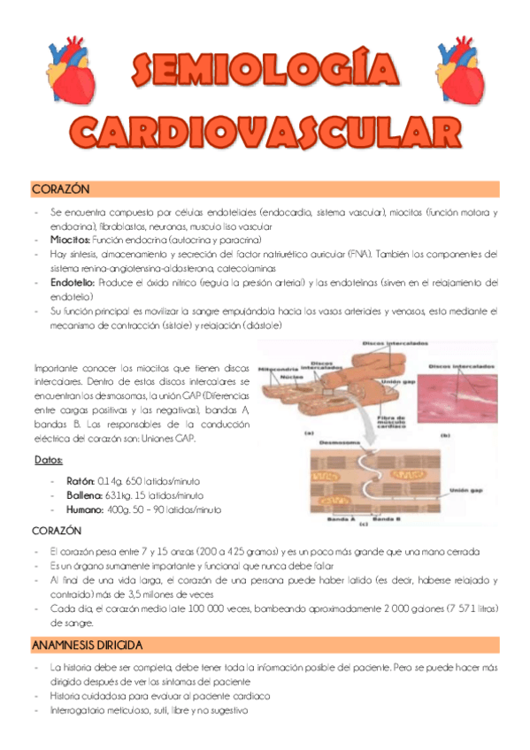 Miniatura del documento SEMIOLOGIA-CARDIOVASCULAR.pdf