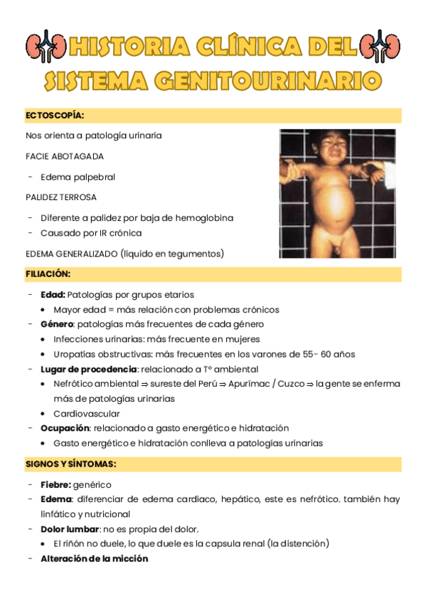 Miniatura del documento SEMIOLOGIA-RENAL.pdf