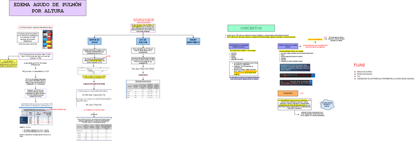 Miniatura del documento TEO-MED-1-EDEMA-AGUDO-DE-PULMON.drawio.pdf