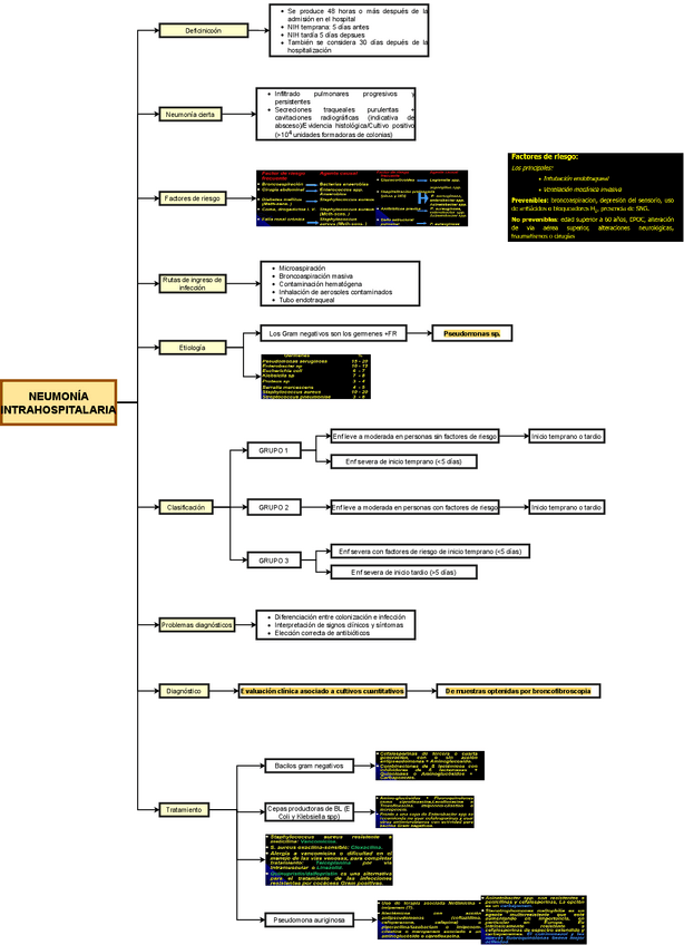 Miniatura del documento TEO-MED-INT-1-NEUMONIA-INTRAHOSPITALARIA.drawio.pdf